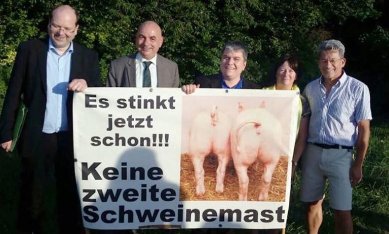 Schweinemast in Brunn