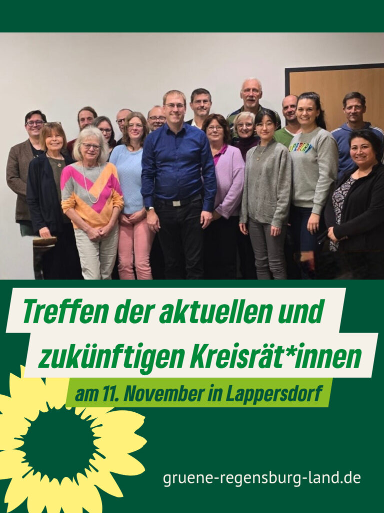 Treffen der aktuellen und zukünftigen Kreisrät*innen